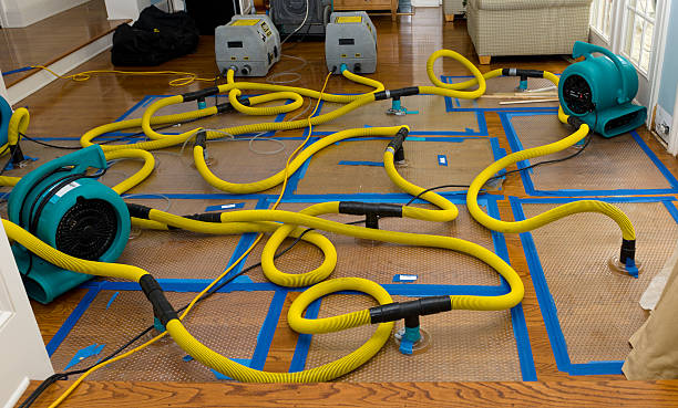 Professional Storm Water Damage Restoration technician working in Pemberton, OH